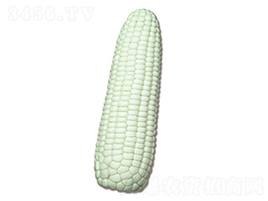 NǰŴ2̖-Ŵ׷N-NǷNI