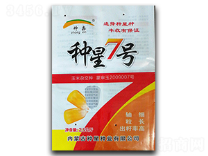 種星7號-玉米種子-種星種業