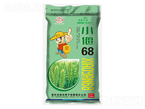 小偃68-小麥種子-博農