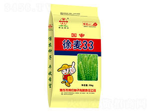 徐麥33（15kg）-小麥種子-博農(nóng)