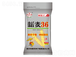 新麥36（15kg）-小麥種子-博農