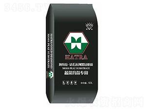 ߲猣-@ʯϵк@|-