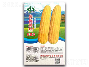 ȪS802-Ŵ׷N-N