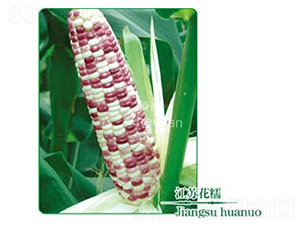 KŴ-Ŵ׷N-зNI