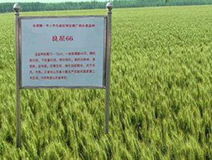 66-СN-ǷNI