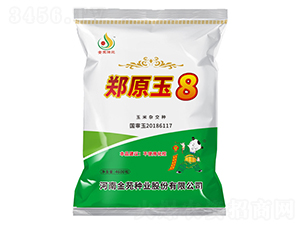 鄭原玉8-玉米種子-金苑種業