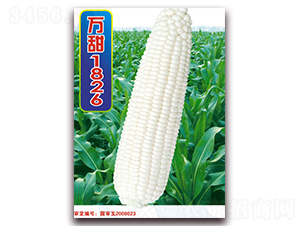 f1826-׷N-ANI