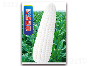 fճ̖-Ŵ׷N-ANI