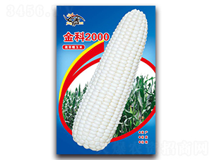 2000-Ŵ׷N-ܷNI