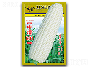 Ŵ301-Ŵ׷N-ܷNI