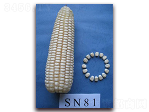 KŴ639̖-Ŵ׷N-к̷NI