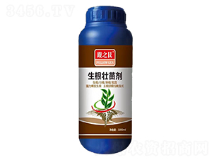 焩-֮-ݿ