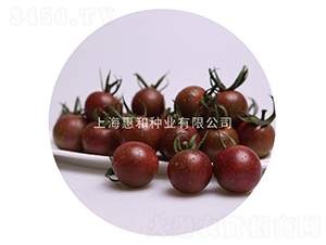 ̖-СѷN-ݺͷNI