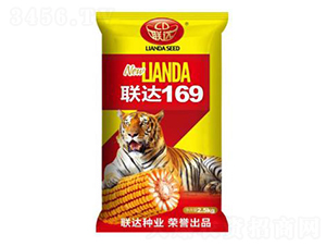 聯達169-玉米種子-聯達種業