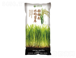 水稻苗床壯秧劑-漢富農業