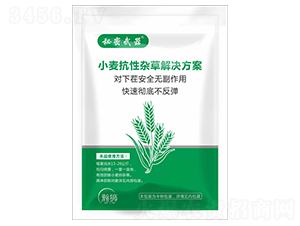 小麥抗性雜草解決方案-秘密武器-瀚獅農業