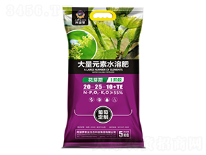 葡萄花芽期專用大量元素水溶肥-阿波羅