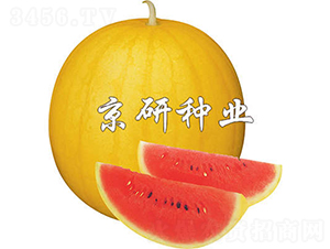 SƤ1̖(ho)-ϷN-