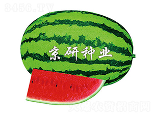 6̖(ho)-ϷN-