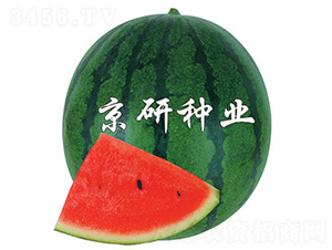 2̖(ho)-ϷN-