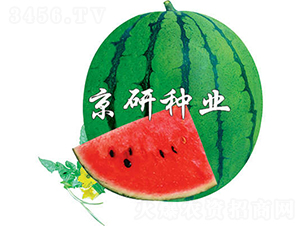 3̖(ho)-ϷN-