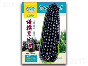 Ŵ-Ŵ׷N-ͷNI