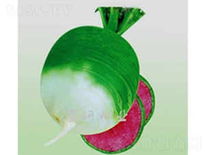 Müt-}N-зNI