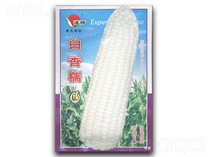 Ŵ-Ŵ׷N-ʴrI