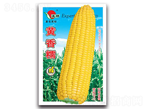 SŴ-Ŵ׷N-ʴrI