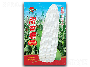 Ŵ-Ŵ׷N-ʴrI