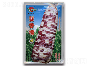 Ŵ-Ŵ׷N-ʴrI