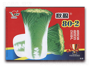 ӯ80-2-ײ˷N-ʴrI