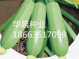 Gѩ-JN-ANI