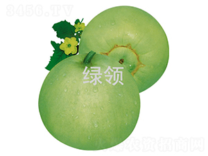 GI-ϷN-GINI