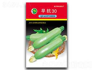 翹30-JN-SNI