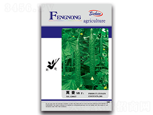 fV8-SϷN-SrrI