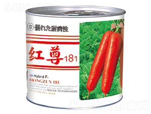 t181ޣ-}N-_