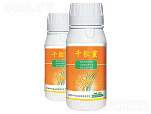 千粒重-中科農(nóng)業(yè)