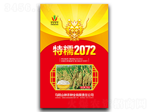 特糯2072-水稻種子-神農種業