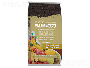根果動力-麗美澤-中農恒大