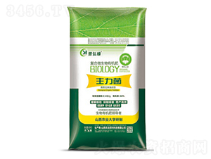 蔬菜瓜果專用復合微生物有機肥-主力菌-農友