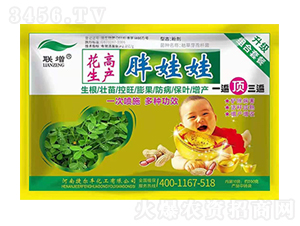 花生高產胖胖娃-聯增-捷爾豐