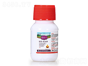 6%աx΢鄩50ml-P