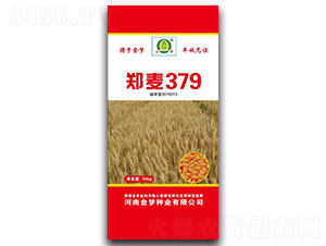 379-СN-NI