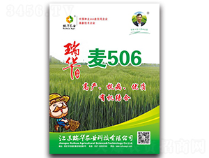瑞華麥506-小麥種子-瑞華農(nóng)業(yè)