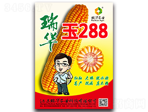 瑞華玉288-玉米種子-瑞華農(nóng)業(yè)