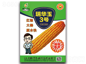 瑞華玉三號-玉米種子-瑞華農業