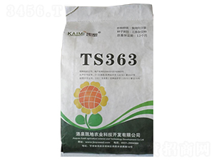 TS363տN-NI