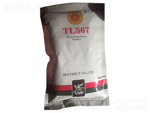 TL567տN-NI