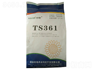 TS361տN-NI